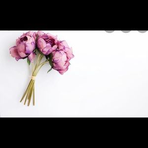 Meet your Posher, Lyn